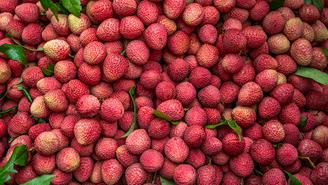 Что такое личи, чем полезна, как есть, выбрать и где хранить