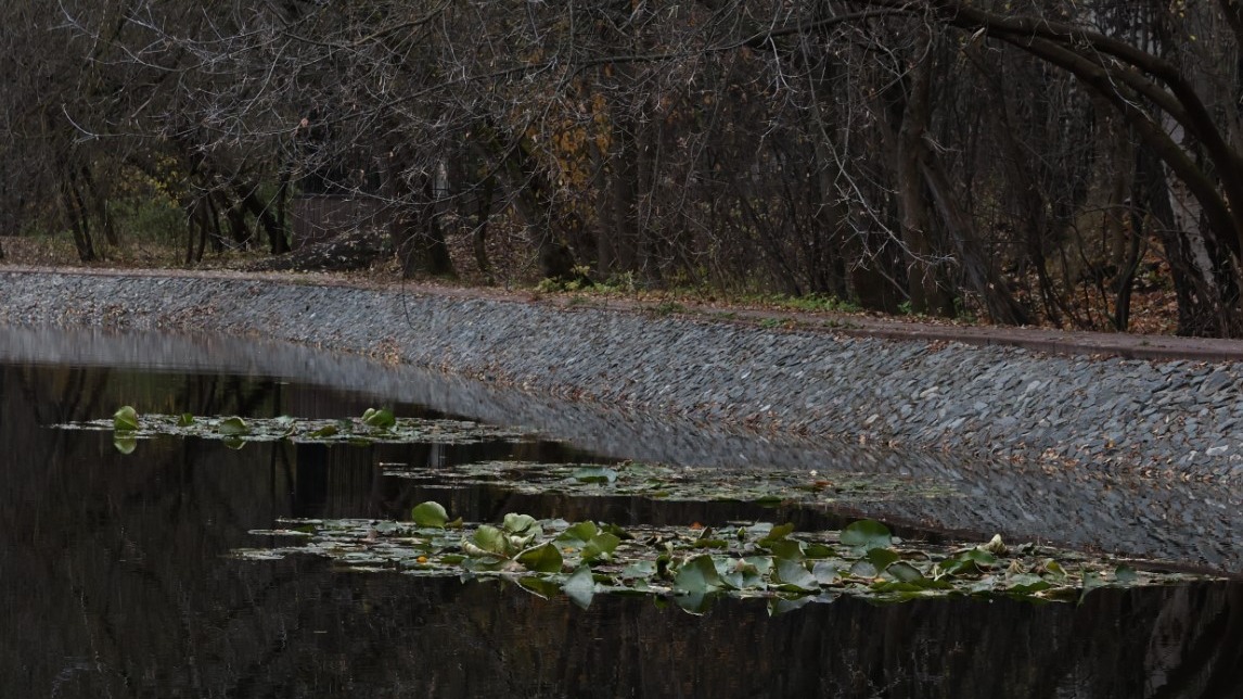 В парке Сокольники провели реабилитацию пяти Оленьих прудов