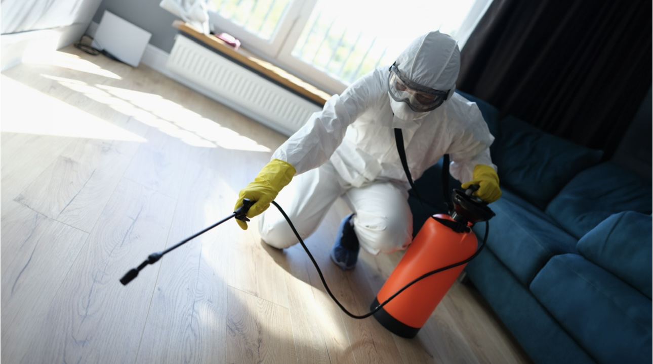 Меры предосторожности: как не отравиться инсектицидами после обработки дома