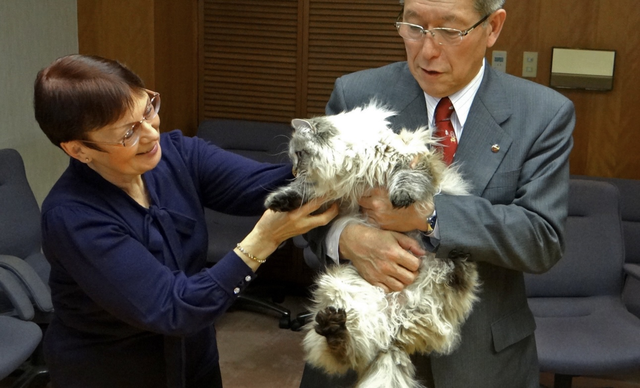 Умер кот Мир, подаренный Путиным губернатору японской префектуры