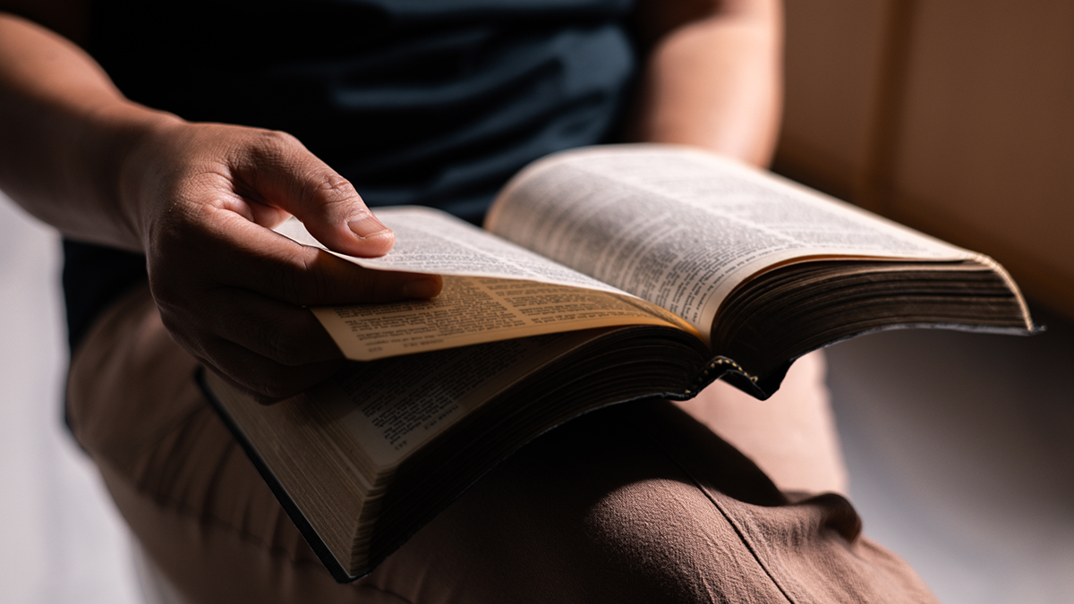 NYP: Медиевист Кессель обнаружил утерянный фрагмент 1750-летней Библии