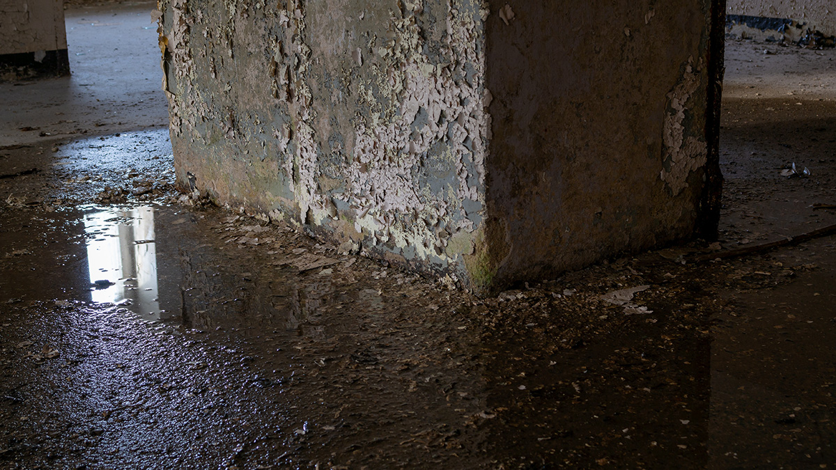 Голый молодой человек полгода жил под полом дома пенсионерки