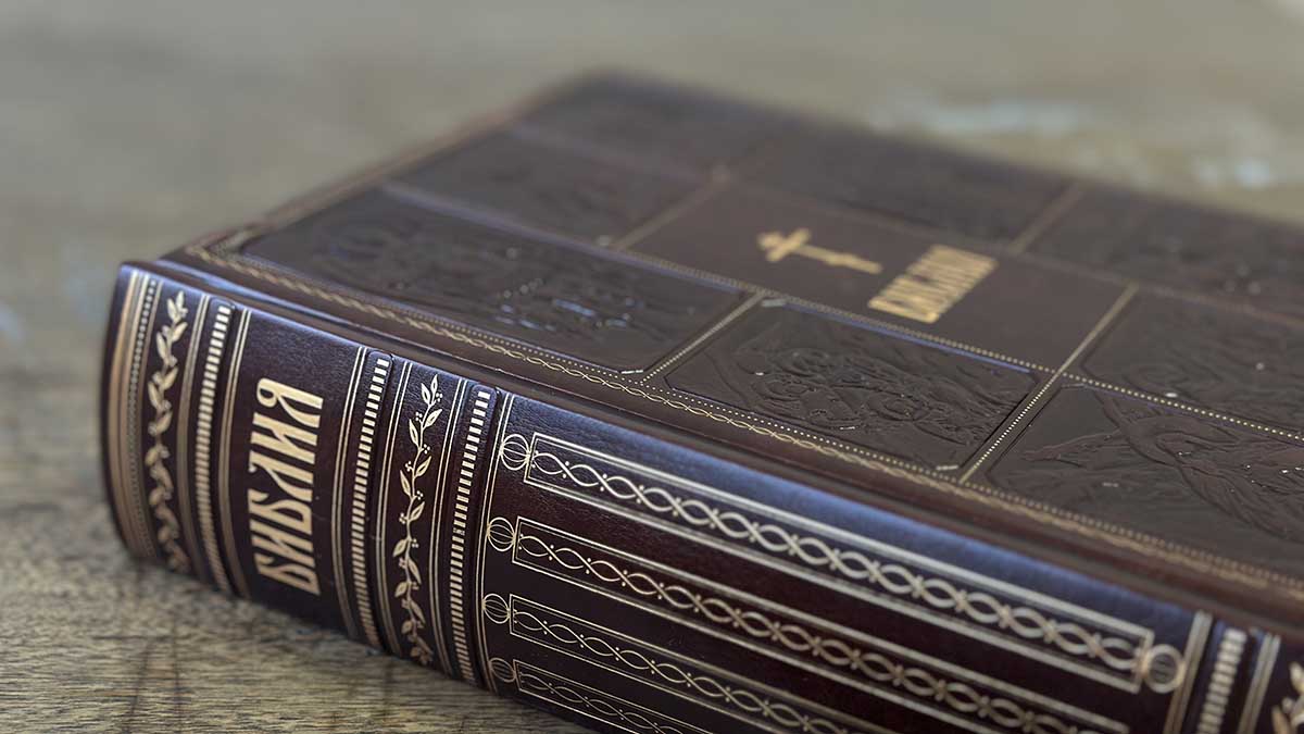 Описанную в Библии главную реку Рая нашли на спутниковых снимках