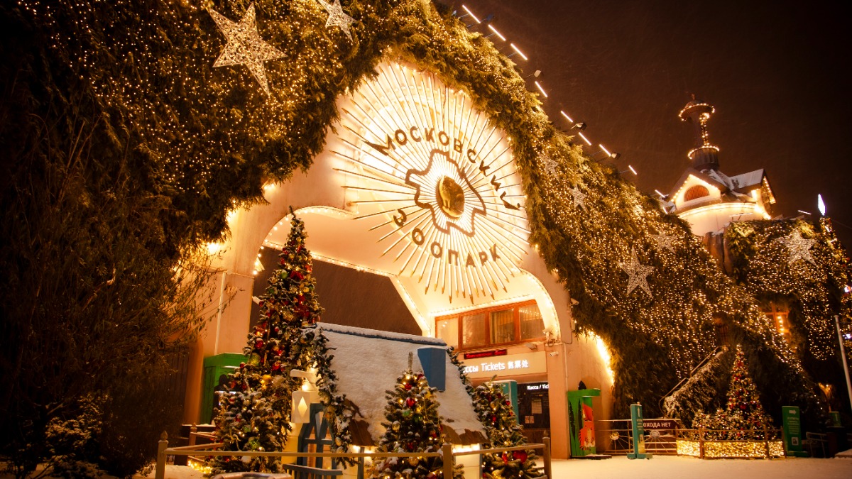 Как преобразились площадки фестиваля «Лето в Москве. Сады и цветы» этой зимой