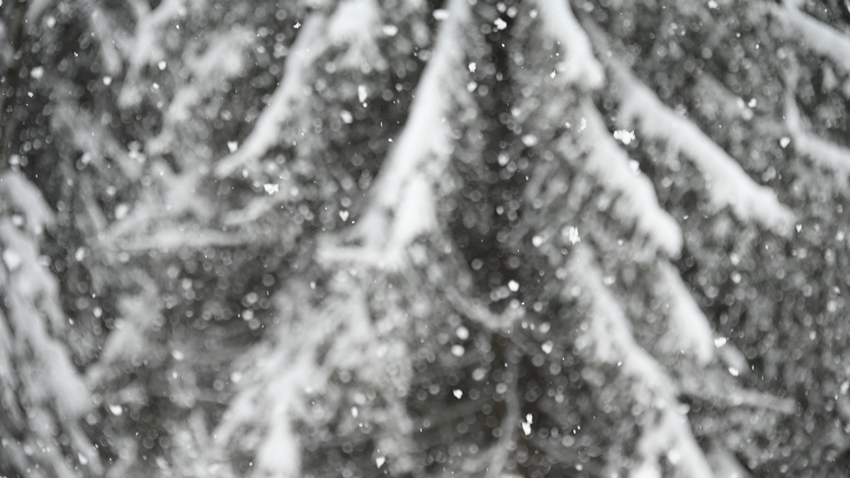 Поисковик Сергеев: После схода снега шансы найти семью Усольцевых станут выше