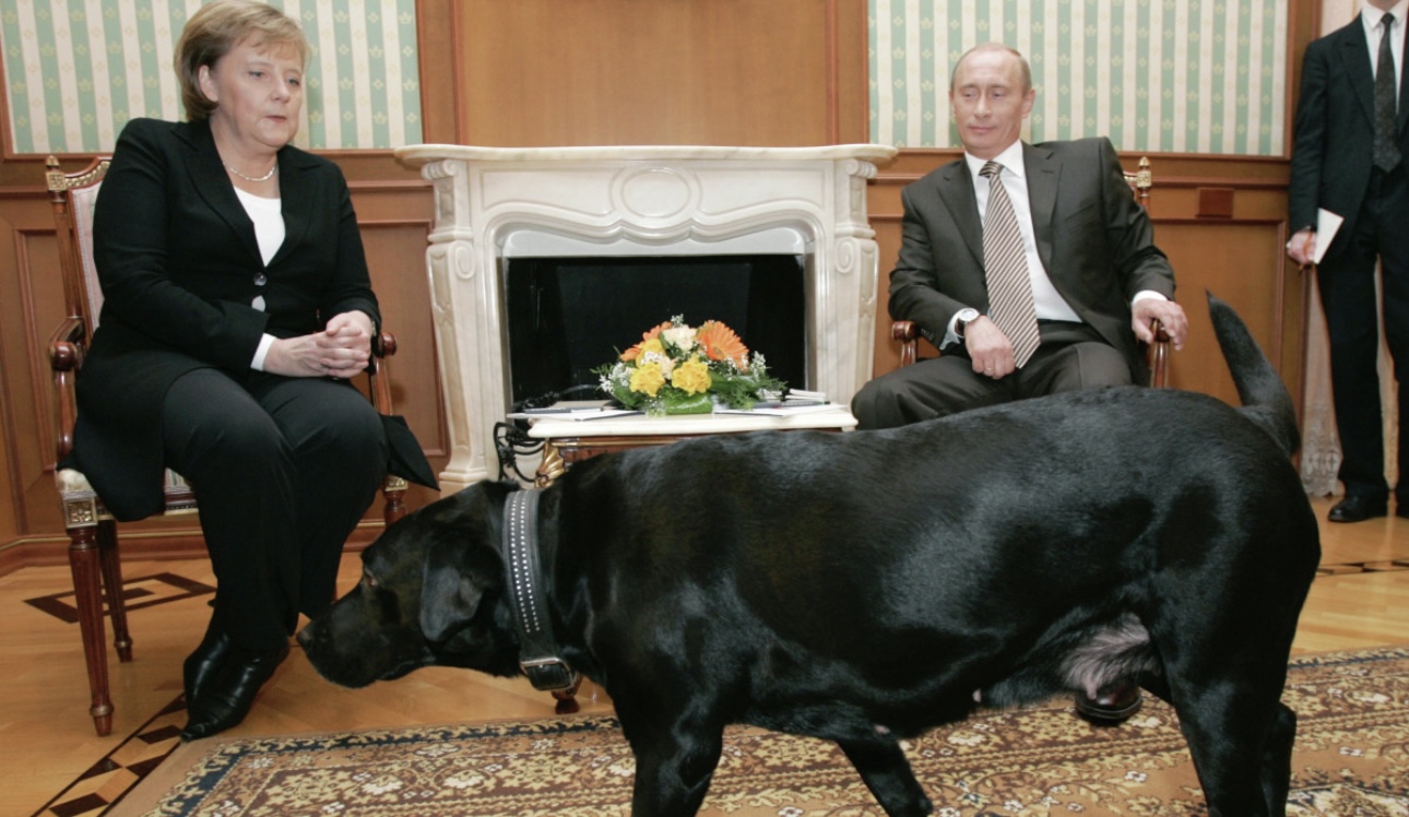 Появилось фото, где Меркель держит за лапу пса, которым Путин «хотел ее запугать»