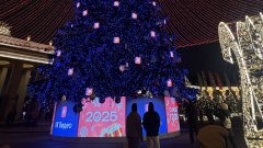 Елка в Парке Горького попадет в Книгу рекордов России