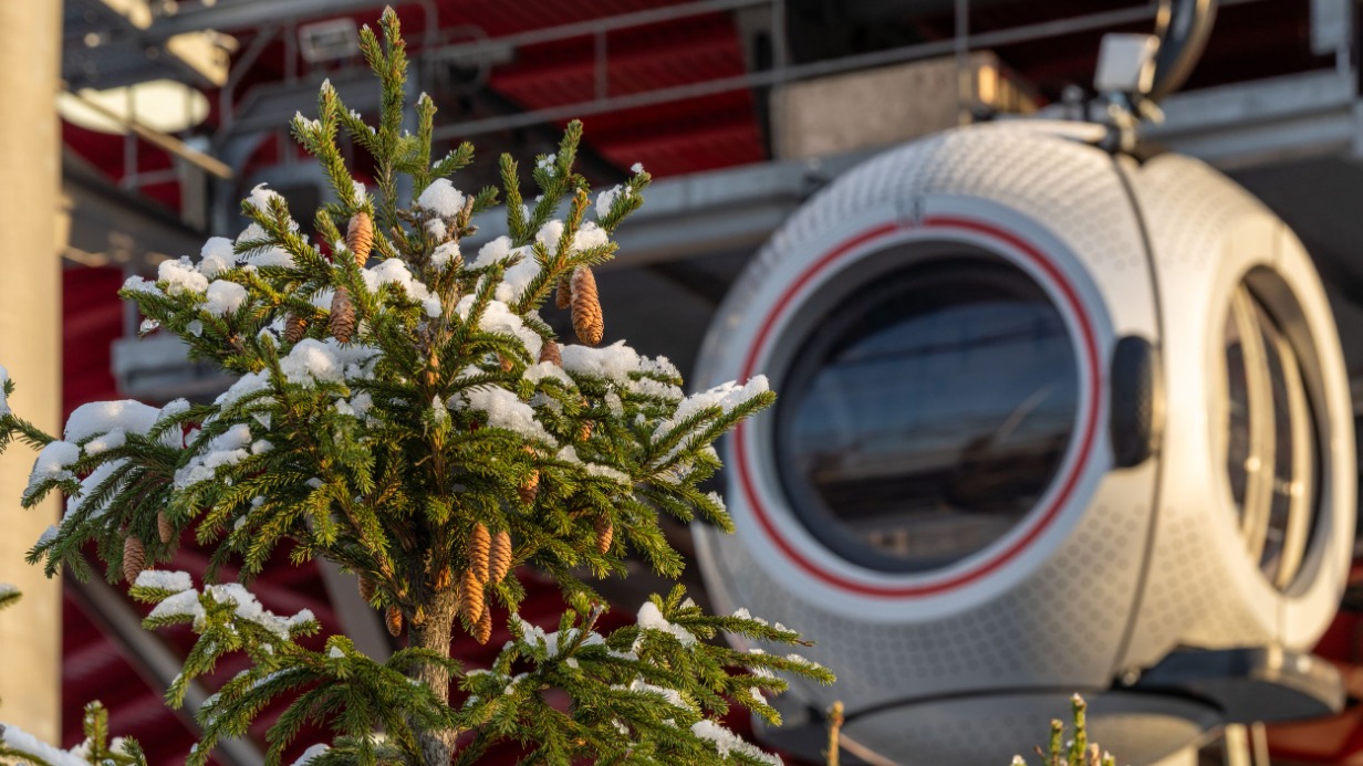 Сергунина: Канатная дорога стала самым популярным аттракционом на ВДНХ