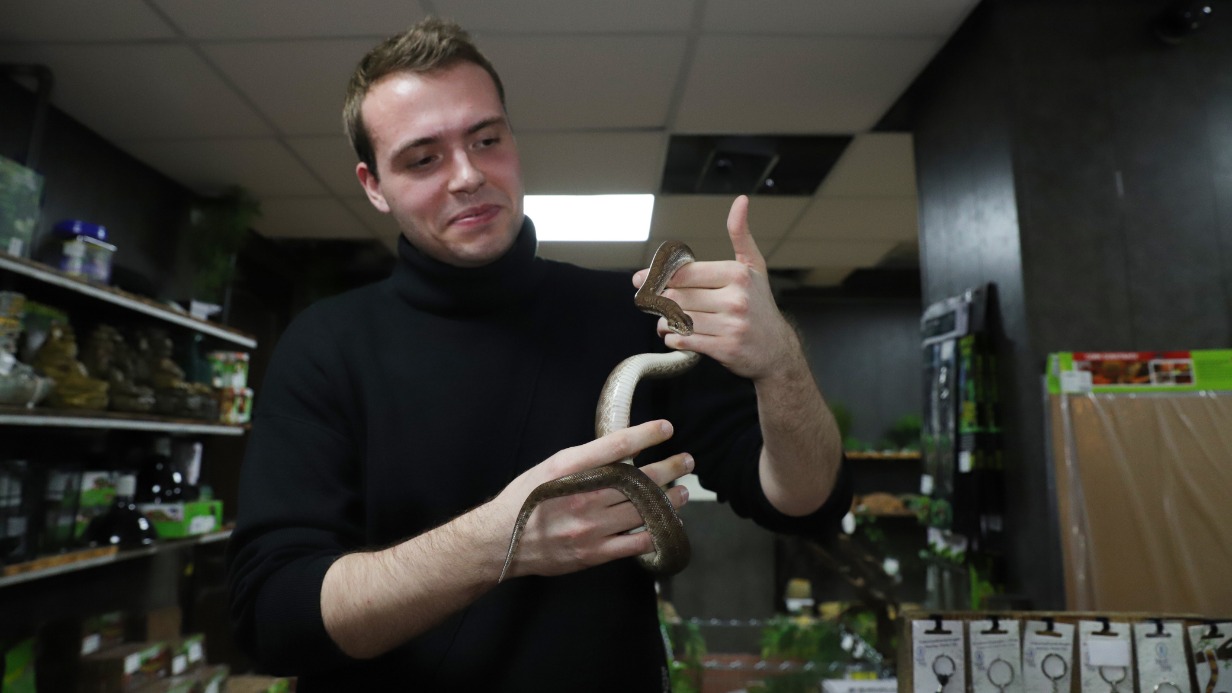 Корреспондент «ВМ» Никита Бессарабов в жизни не держал в руках змей, и первое знакомство с этими созданиями вышло по-настоящему захватывающим