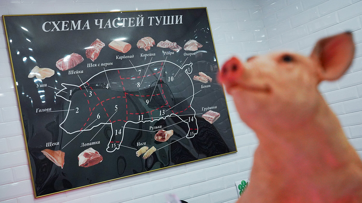 «Известия»: Цены на свинину в России упали из-за перенасыщения рынка