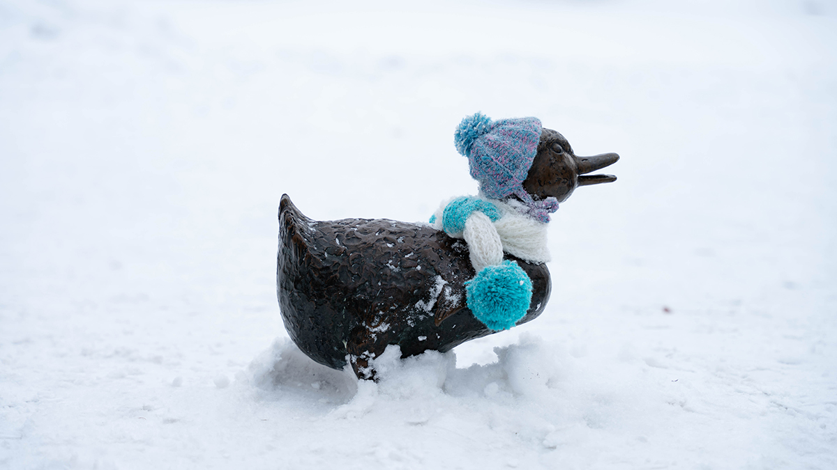 Ассорти из осадков и высокое давление: какой будет погода в Москве на будущей неделе