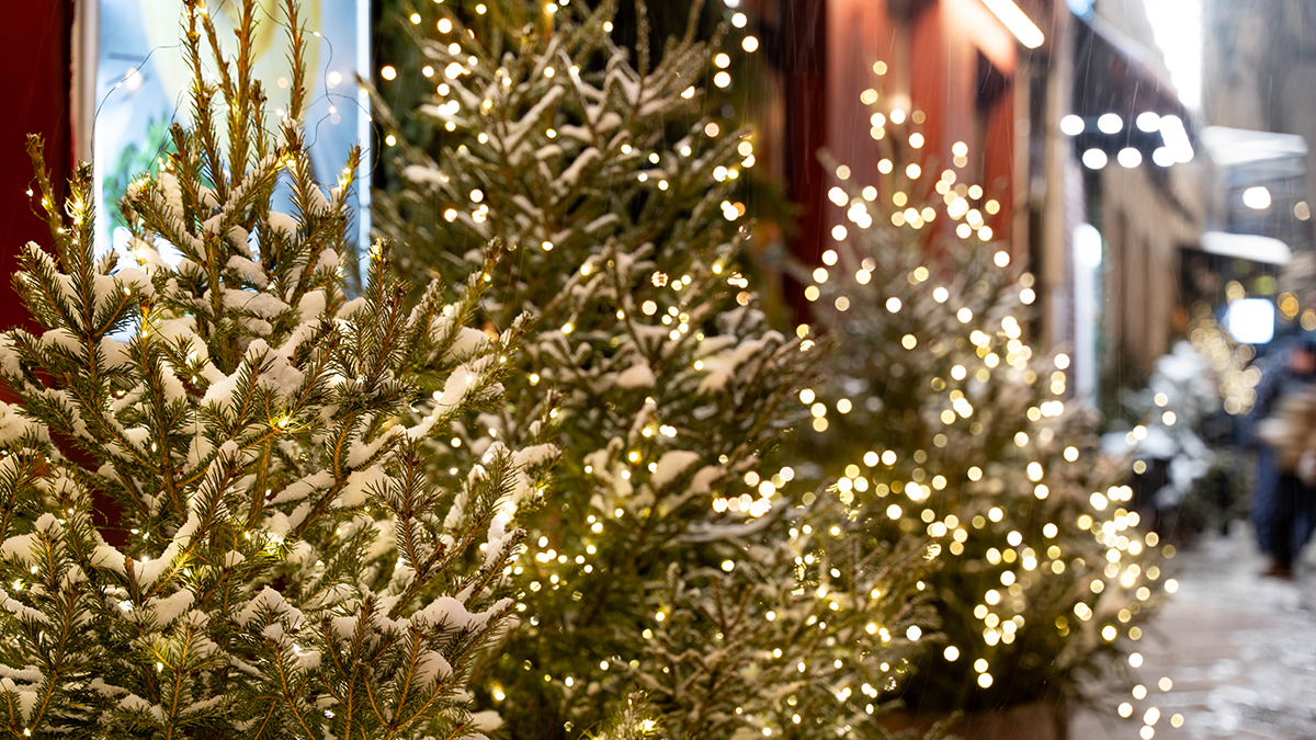 Проект «Зима в Москве» сохраняет традиции рождественских ярмарок