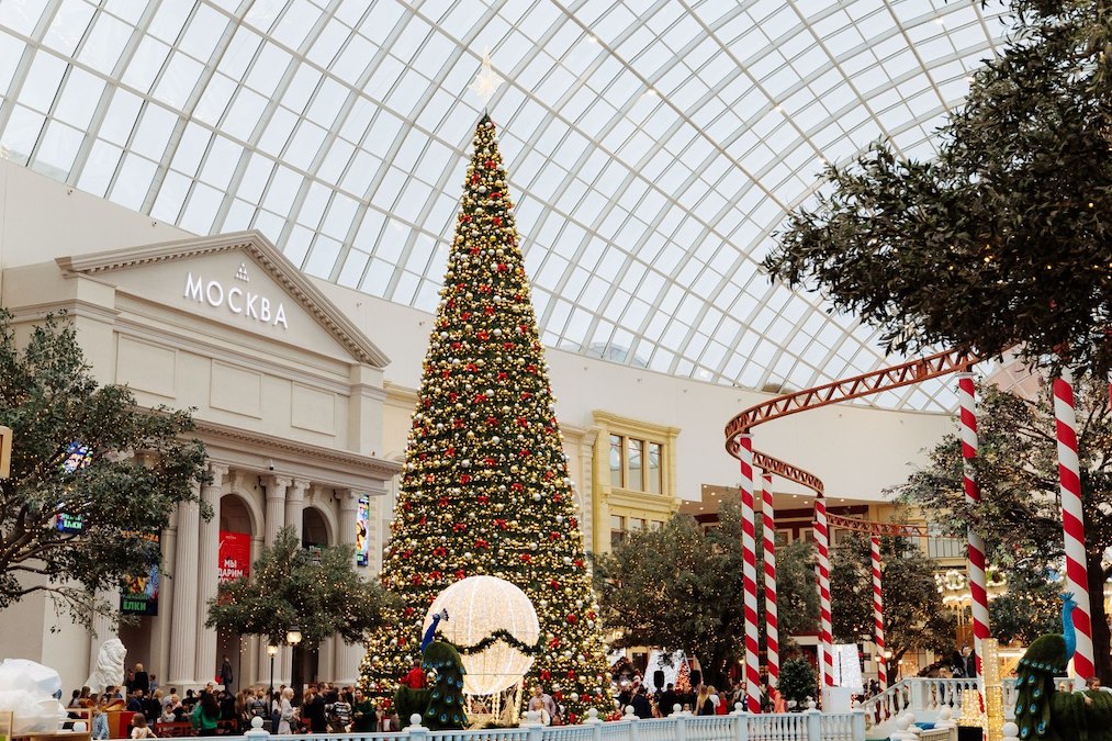 Парад Дедов Морозов, сюрпризы от Снежной королевы, световое и паркур-шоу, концерт известной кавер-группы и розыгрыши призов