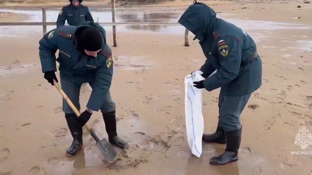 МЧС показало видео очистки пляжа в Анапе от мазута