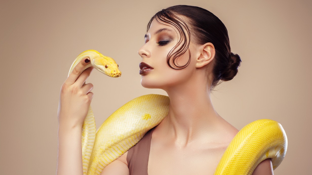 Новый год на пороге: о полезных свойствах змеиного яда