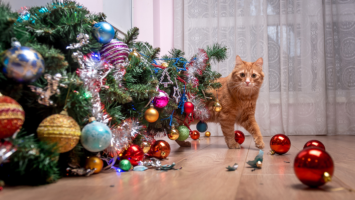 Как уберечь новогоднюю елку от домашних животных