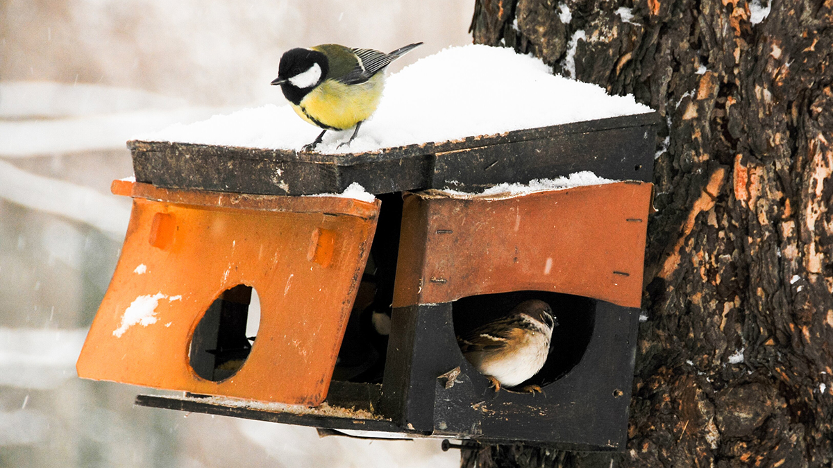 Синоптики сообщили об облачной погоде и небольших осадках в столице 30 декабря