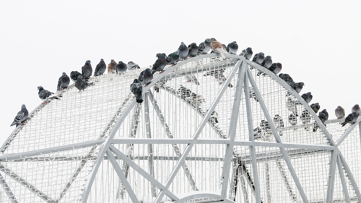 Погода в Москве 10 декабря 2025 года