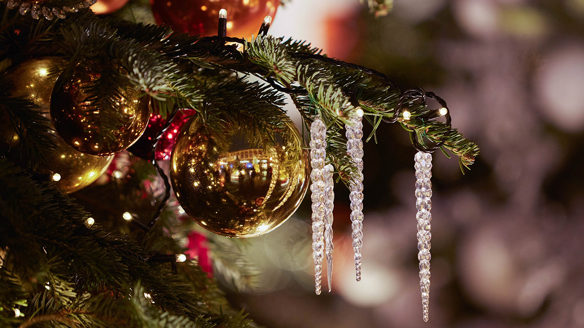  «Зима в Москве»: чем можно заняться в предновогодние выходные в парках