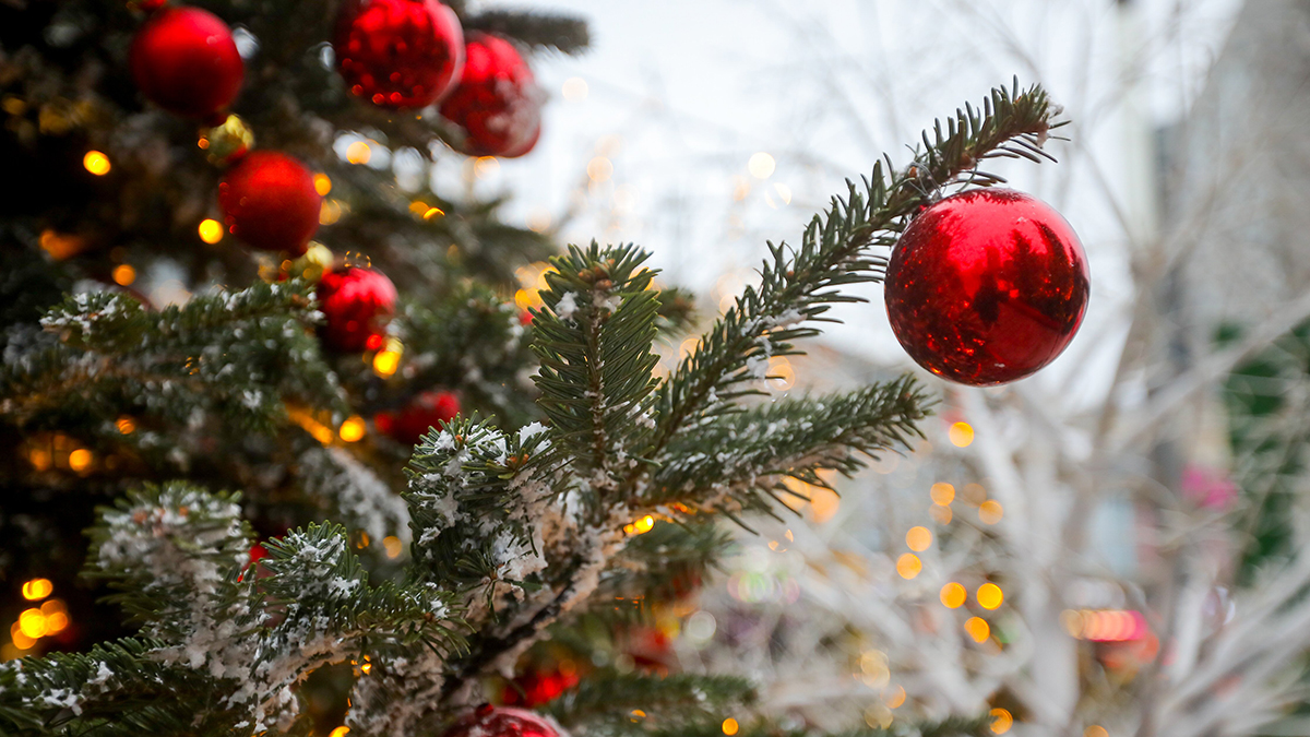Православное движение «Сорок сороков» призвало отменить новогодние праздники в РФ