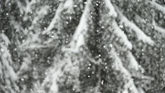 Погода в Москве и Подмосковье на 31 декабря 2025 года