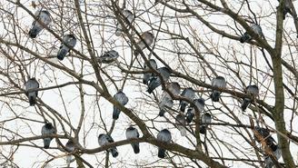 Погода в Москве 6 и 7 декабря