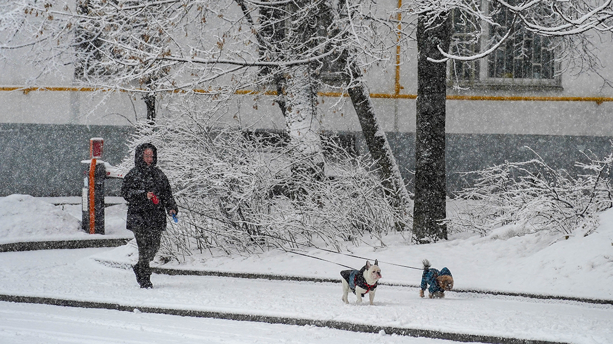 Погода в Москве на этой неделе: когда растает снег