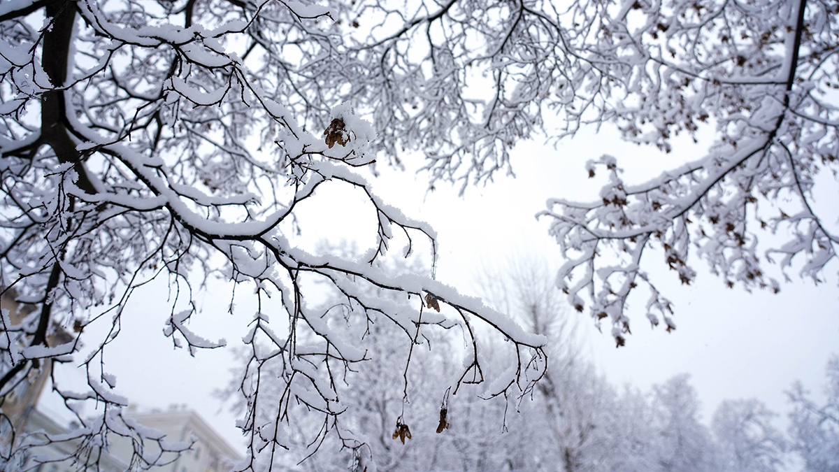 Ученые рассказали, как зима 1480 года помогла изменить ход русской истории