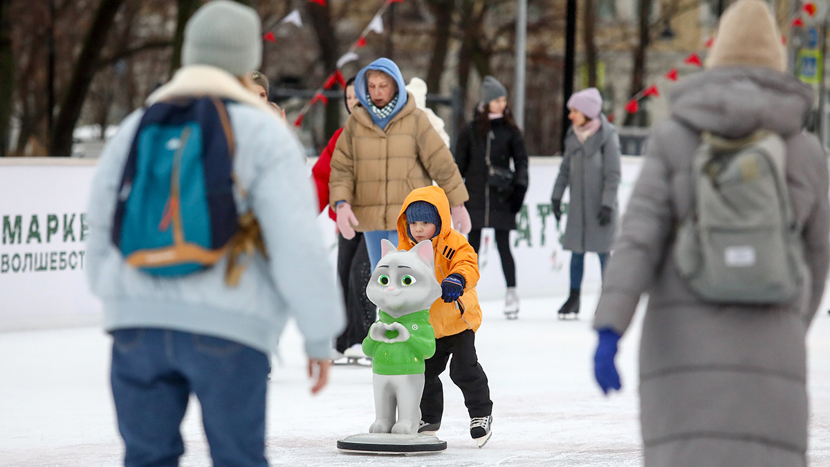 Приложение «Мой id» поможет многодетным семьям бесплатно посетить катки в Москве