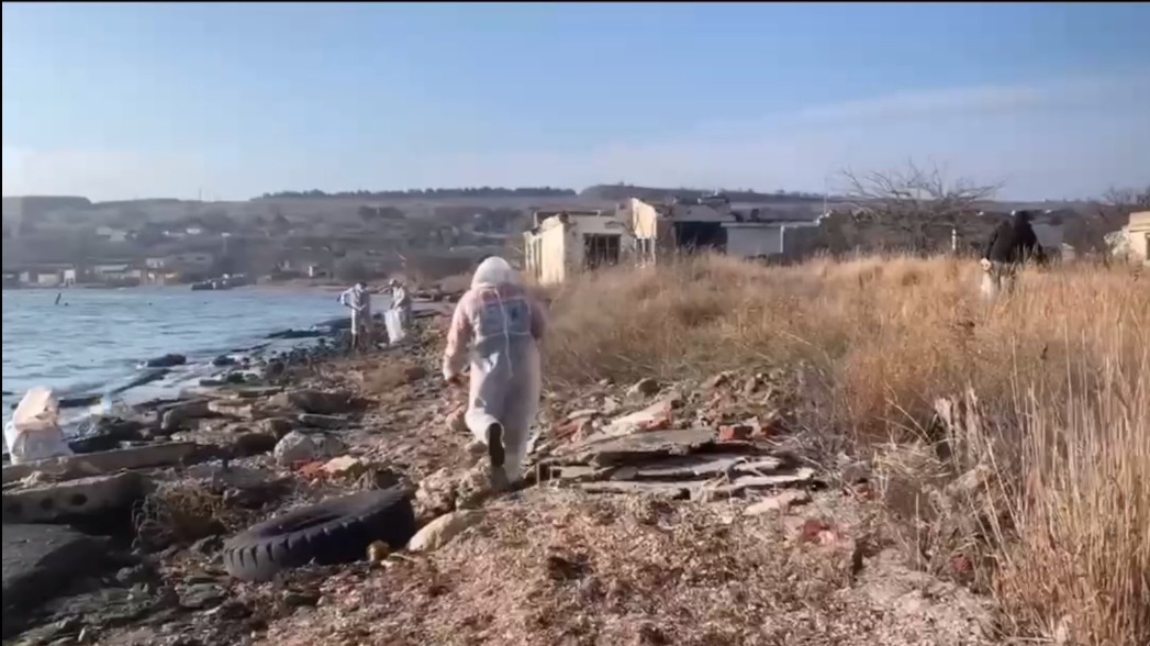 Загрязнение мазутом впервые дошло до Ялты, охватив 16 километров побережья Крыма