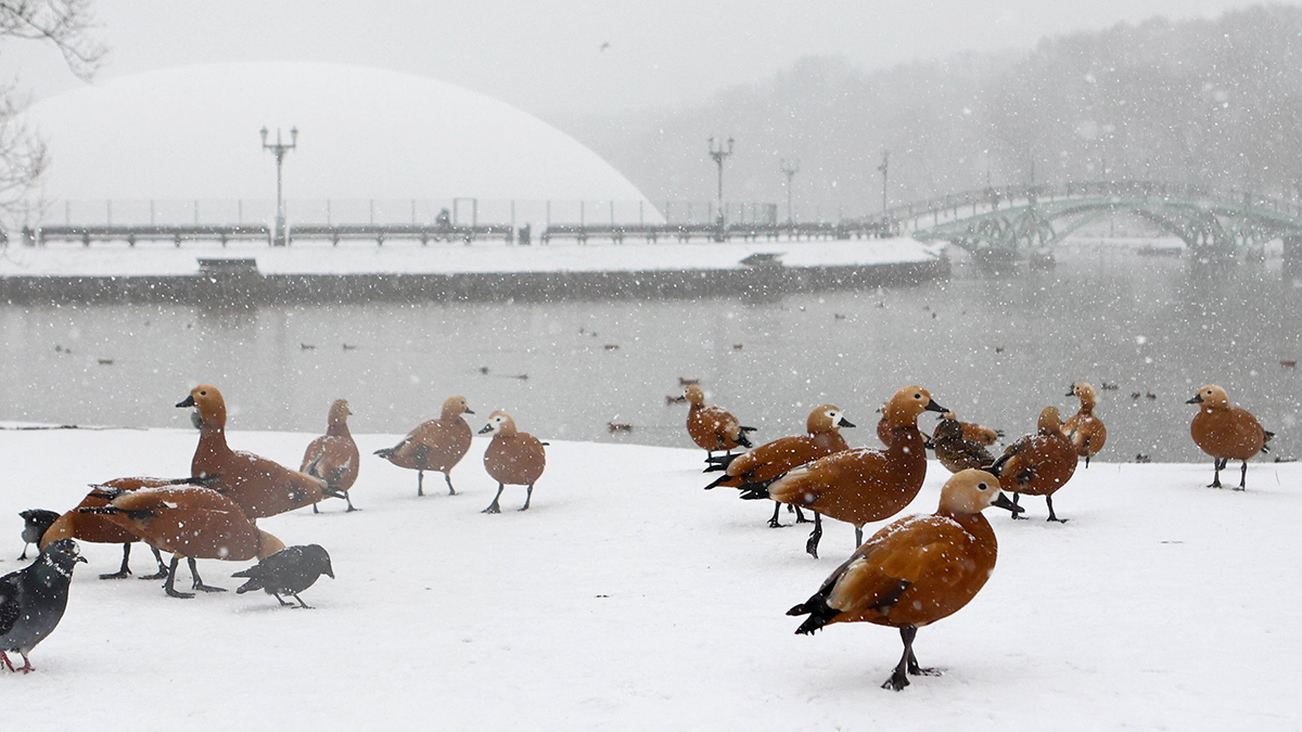 Какой будет погода в феврале