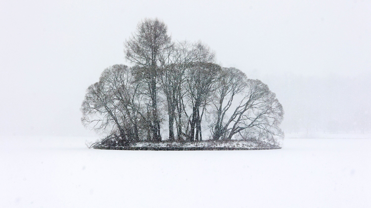 Гидрометцентр предупредил о 20-сантиметровых сугробах в центральной части России