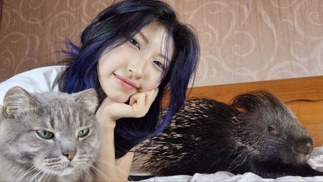 Владелица экзотических животных Ариана Ким проводит время с котом Люксом и дикобразом Чичей