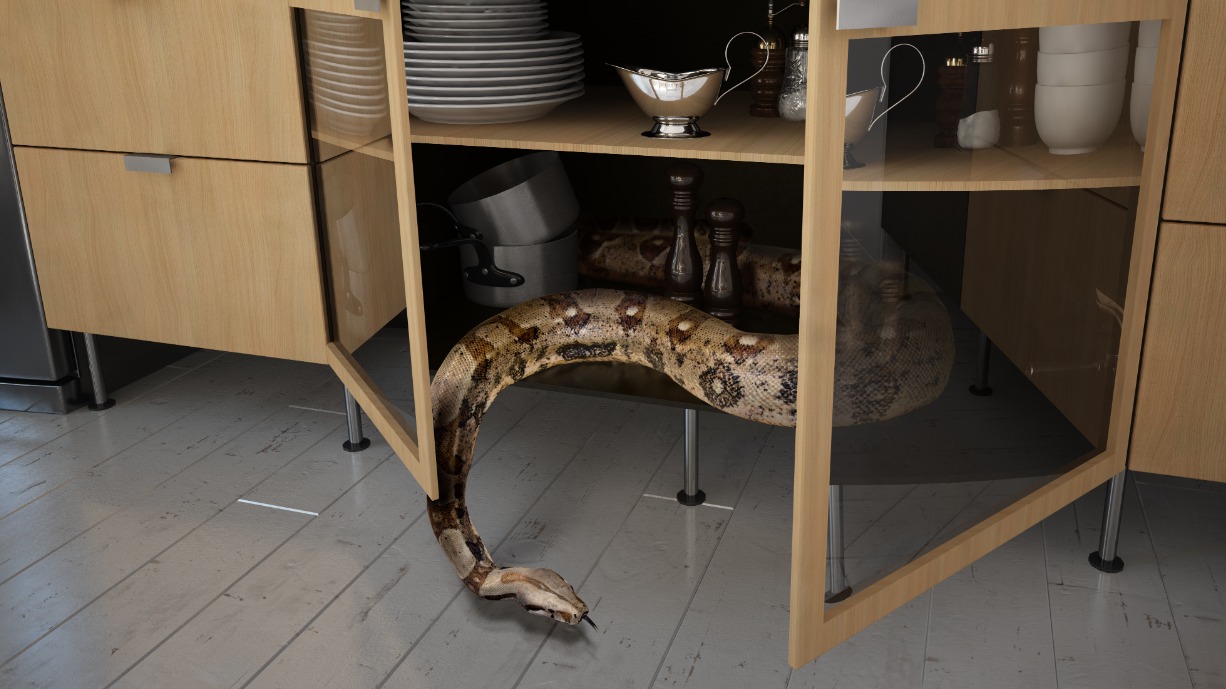 Пятнистая змея выползла на кухню гостиницы «Восход» в Москве