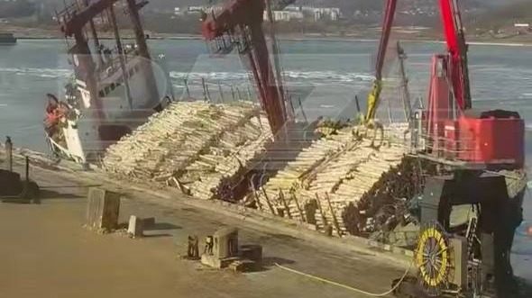 Сухогруз чуть не перевернулся в Приморье от перегруза древесиной