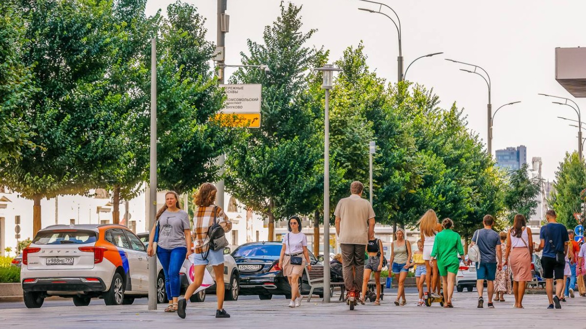 Более 4,5 тысячи деревьев украсили вылетные магистрали и крупные улицы Москвы