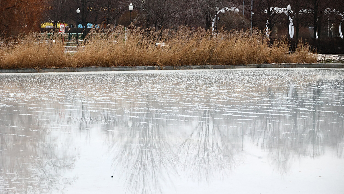 Какая погода будет в феврале в России