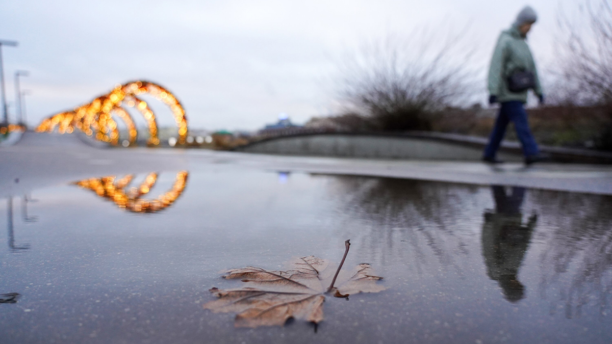 Столетний температурный рекорд может быть побит в Москве 27–28 января