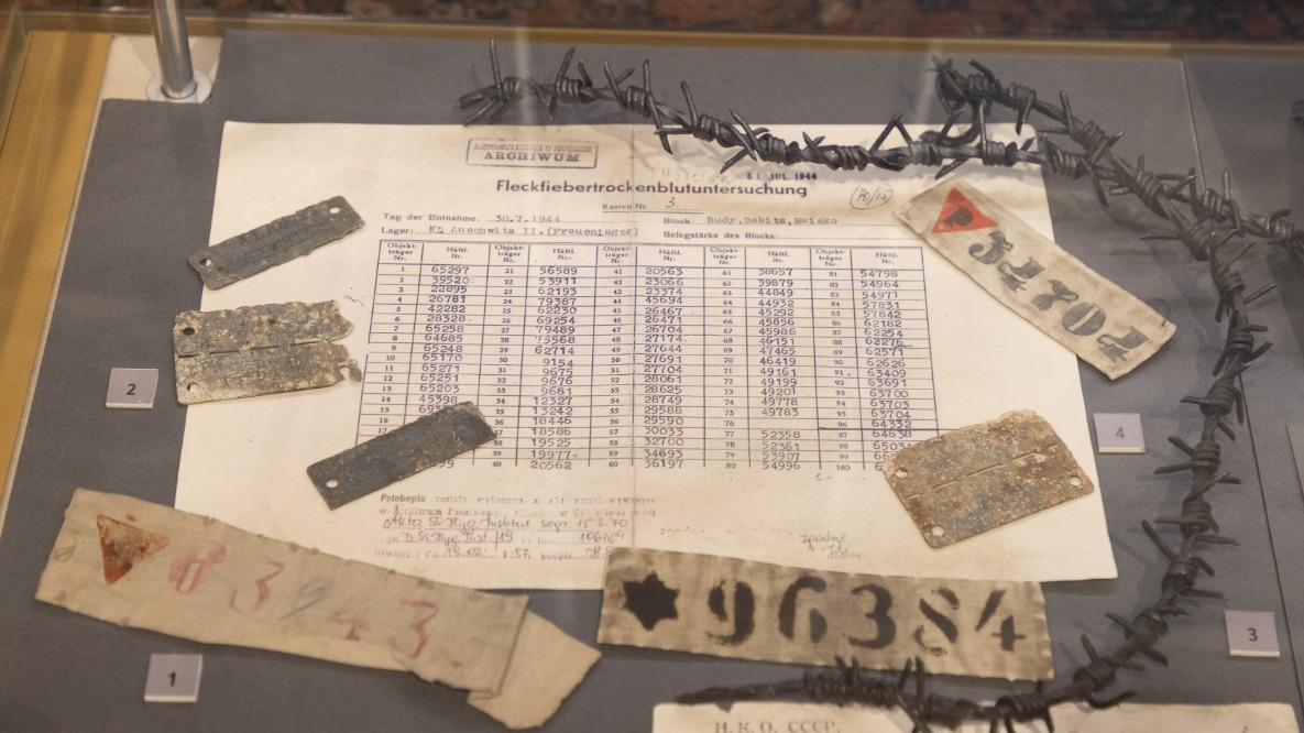 Музей Победы пригласил москвичей на выставку «Освенцим. Правда»