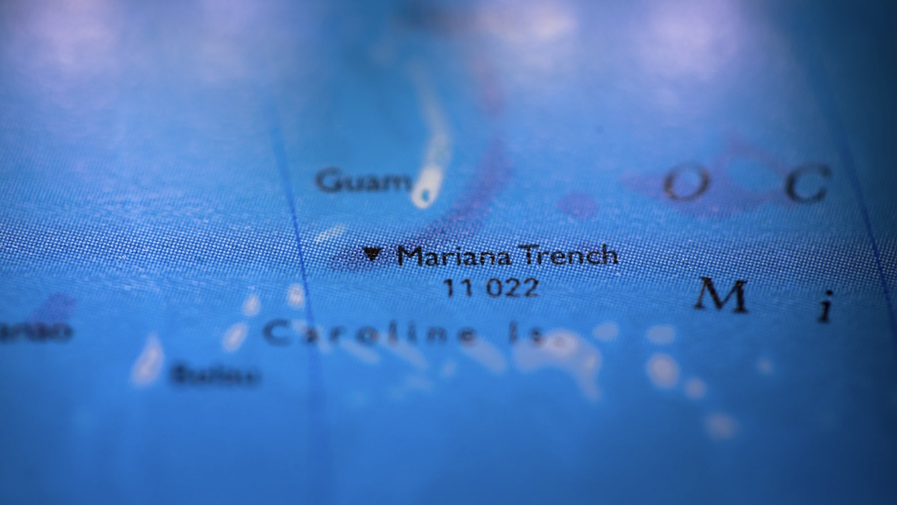 Ученые изучили ДНК найденного у Марианской впадины существа