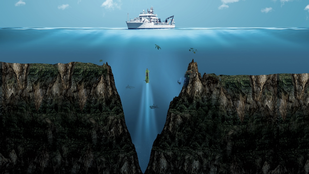 Рыбаки поймали прозрачное морское существо, обитающее в Марианской впадине