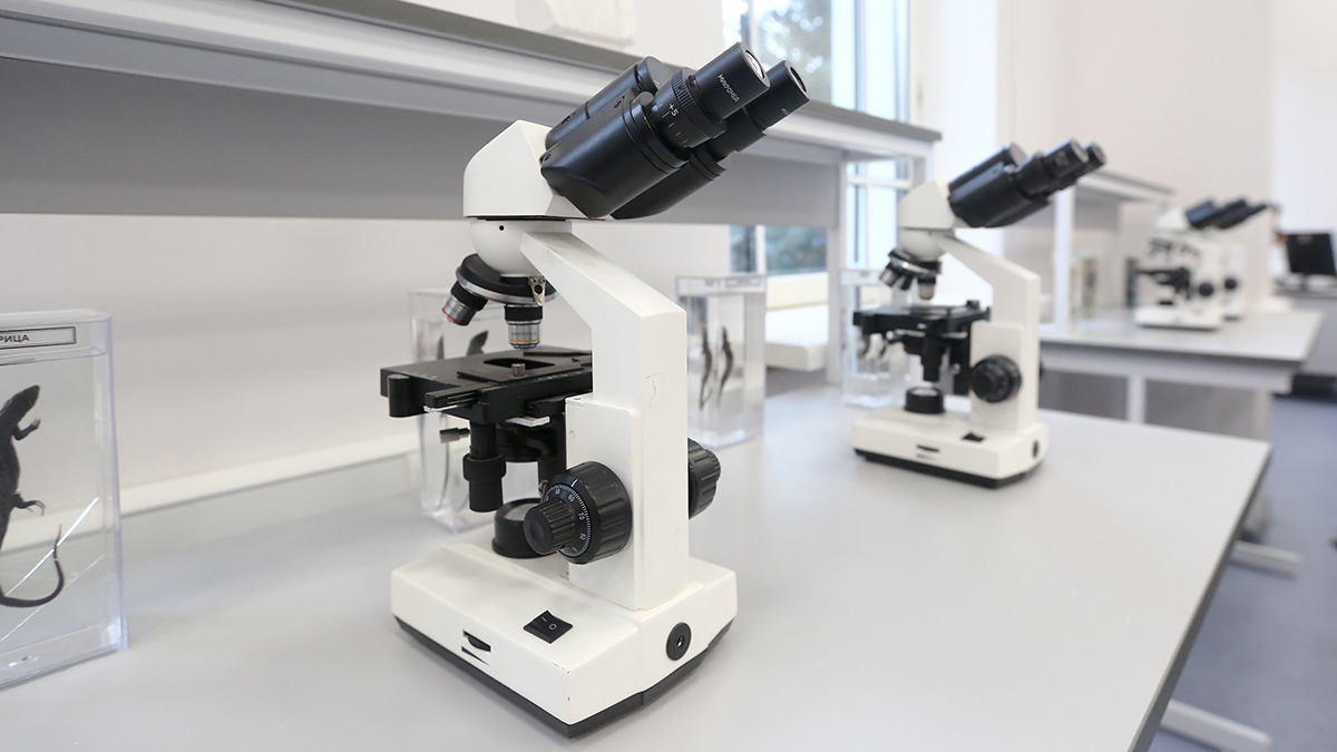 Ученые выяснили, что грибок, вызывающий «синдром белого носа», завезли с Украины