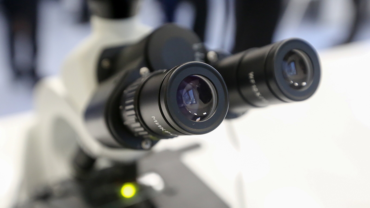 Ученые назвали распространенный вирус, который оказался фактором рака кожи