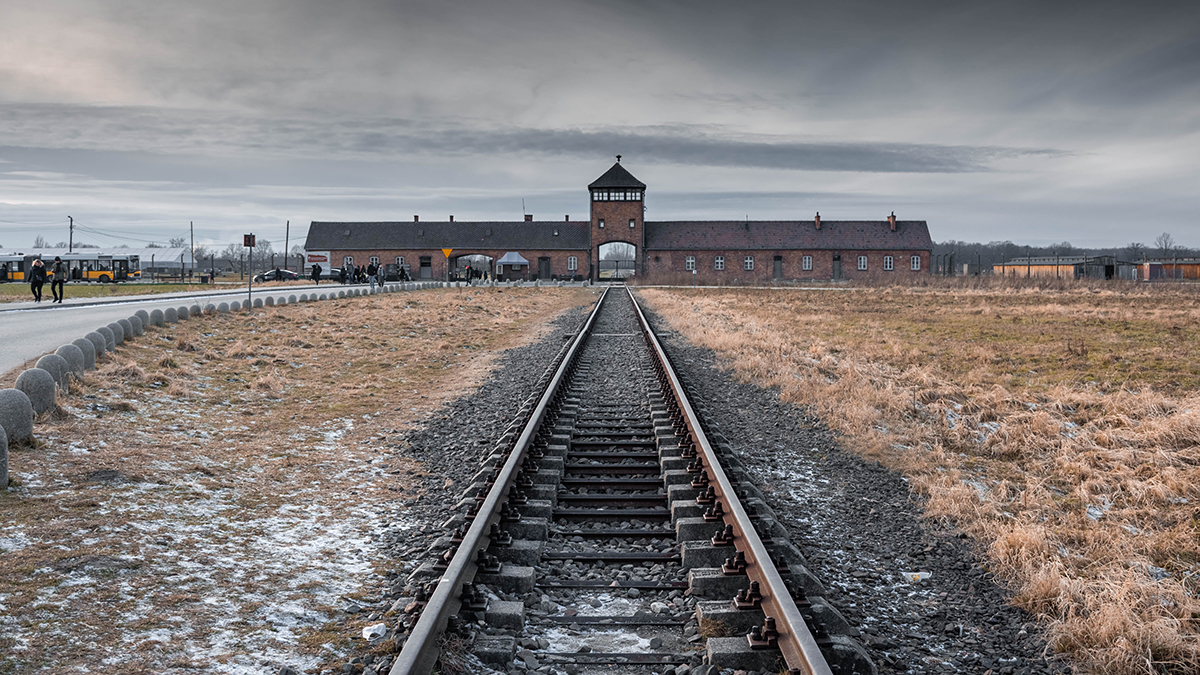 Политолог Станкевич счел странным отказ пригласить РФ на годовщину освобождения Освенцима