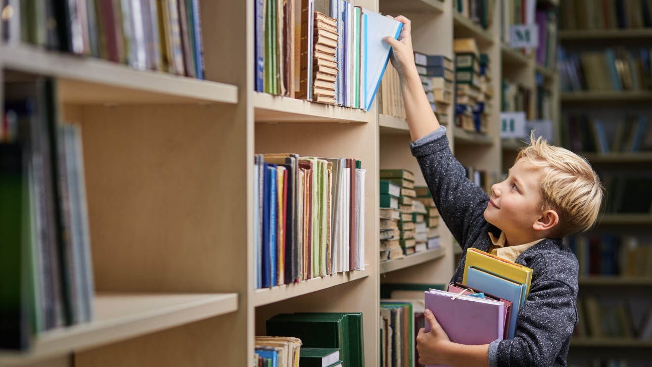 Новые предметы в школах в 2026 году