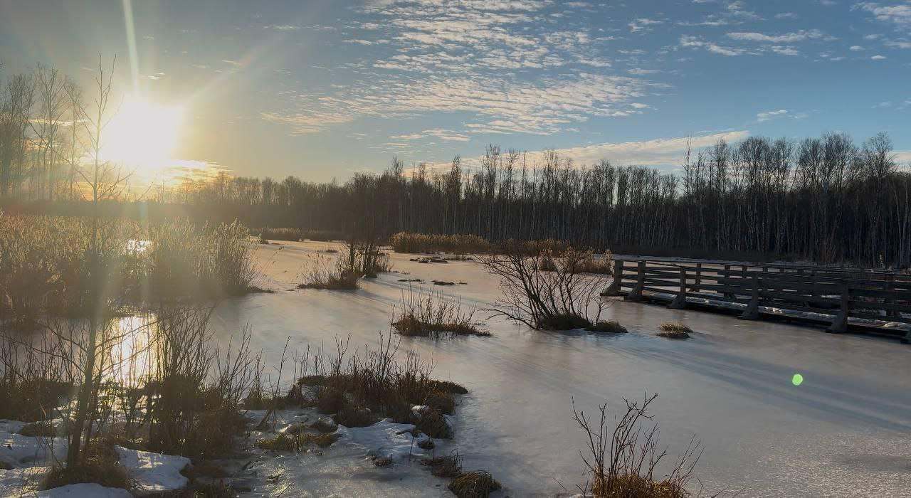 Самая живописная экотропа Лосиного острова «Заповедный лес» снова будет открыта! 