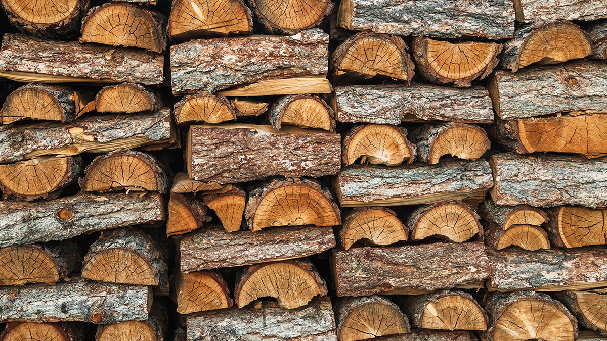 Жительница Вьетнама погибла, когда ее затянуло в измельчитель древесины