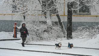 Погода в Москве и Подмосковье на 28 декабря 2025 года