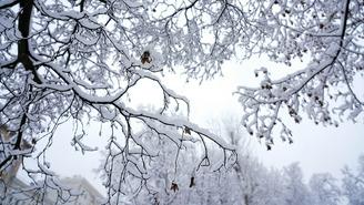 Снежный покров в Москве может вырасти на четыре сантиметра в ночь на 30 декабря
