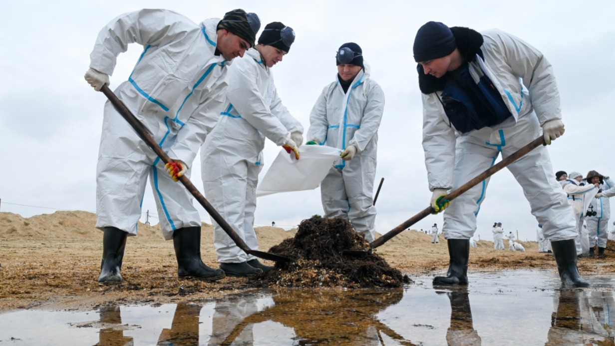 Эколог раскрыла причину, из-за которой на пляжах Анапы появилось пальмовое масло